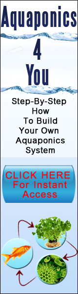 Aquaponics 4 You