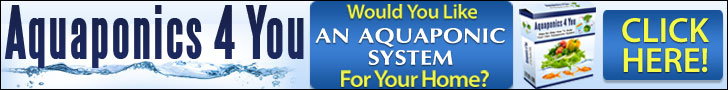 Aquaponics 4 You